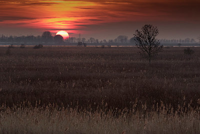 BUITEN BEELD Foto: 331587