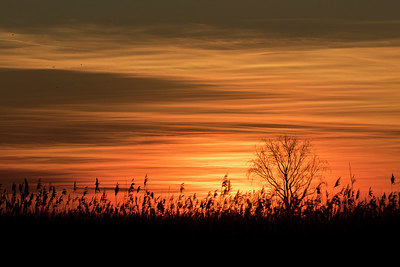 BUITEN BEELD Foto: 331590