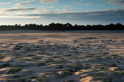 BUITEN BEELD Foto: 331784