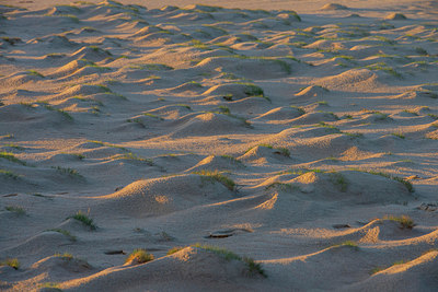 BUITEN BEELD Foto: 331803
