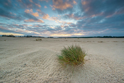 BUITEN BEELD Foto: 331827