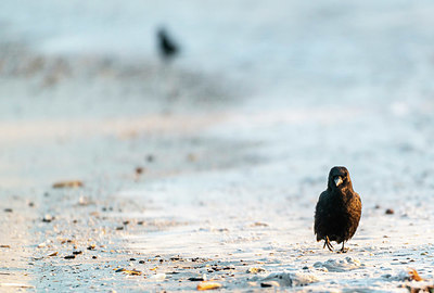 BUITEN BEELD Foto: 331848