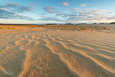 BUITEN BEELD Foto: 331886