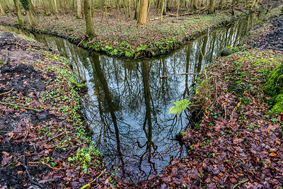 BUITEN BEELD Foto: 332041