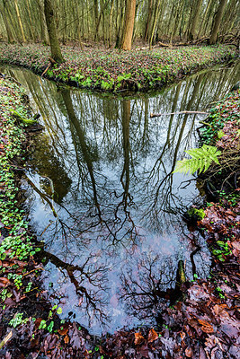 BUITEN BEELD Foto: 332046