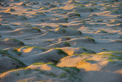 BUITEN BEELD Foto: 332129
