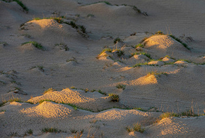 BUITEN BEELD Foto: 332143