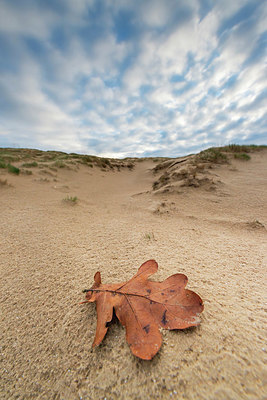 BUITEN BEELD Foto: 332193