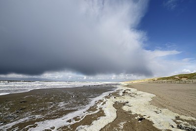 BUITEN BEELD Foto: 332256