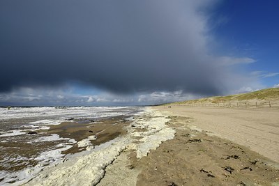 BUITEN BEELD Foto: 332258
