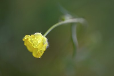 BUITEN BEELD Foto: 332290