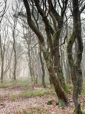 BUITEN BEELD Foto: 332359