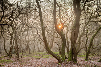 BUITEN BEELD Foto: 332361