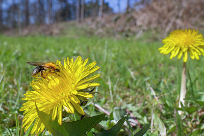 BUITEN BEELD Foto: 332365