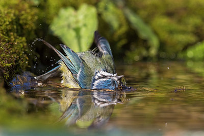 BUITEN BEELD Foto: 332460