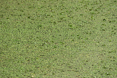 BUITEN BEELD Foto: 332484