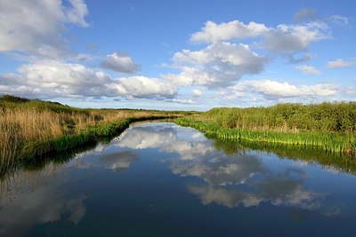 BUITEN BEELD Foto: 332754
