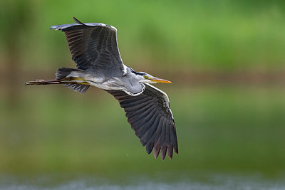 BUITEN BEELD Foto: 332908