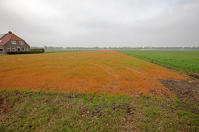 BUITEN BEELD Foto: 333130