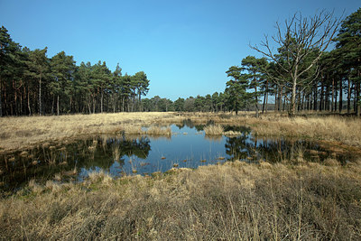 BUITEN BEELD Foto: 333138