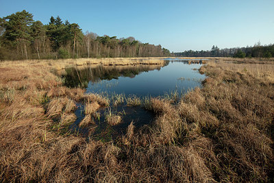 BUITEN BEELD Foto: 333142