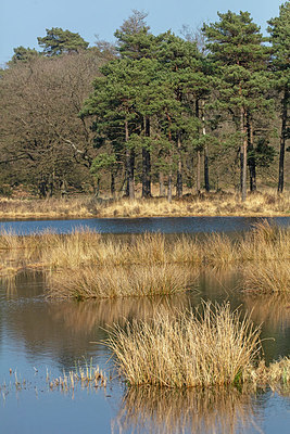 BUITEN BEELD Foto: 333144