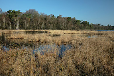 BUITEN BEELD Foto: 333145