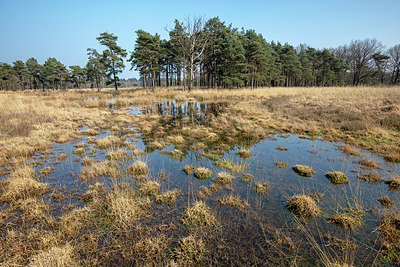 BUITEN BEELD Foto: 333148