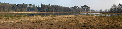 BUITEN BEELD Foto: 333149