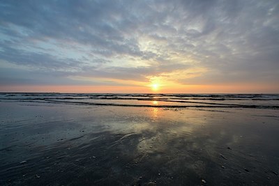 BUITEN BEELD Foto: 333397