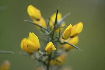 BUITEN BEELD Foto: 333405