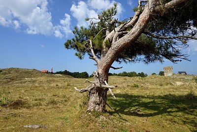BUITEN BEELD Foto: 333524