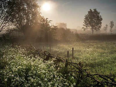 BUITEN BEELD Foto: 333677