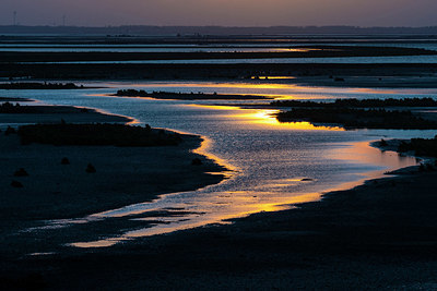 BUITEN BEELD Foto: 333687