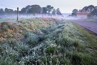 BUITEN BEELD Foto: 333729