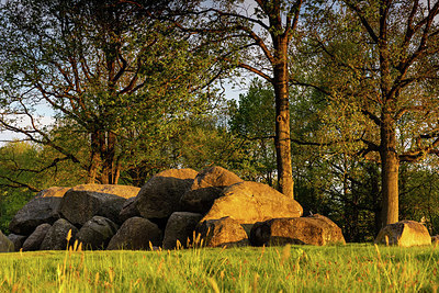 BUITEN BEELD Foto: 333747
