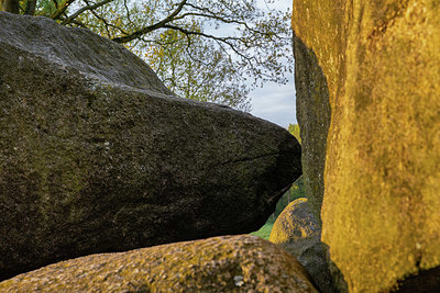 BUITEN BEELD Foto: 333750