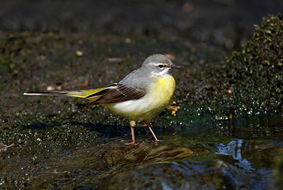 BUITEN BEELD Foto: 333874