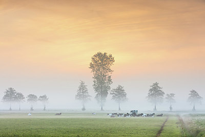 BUITEN BEELD Foto: 334085