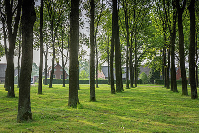 BUITEN BEELD Foto: 334089