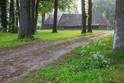 BUITEN BEELD Foto: 334090