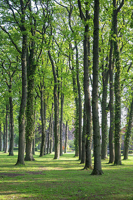 BUITEN BEELD Foto: 334093