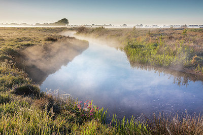 BUITEN BEELD Foto: 334180