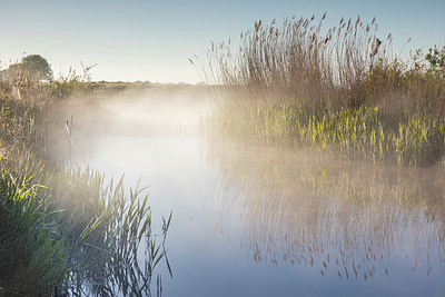 BUITEN BEELD Foto: 334181