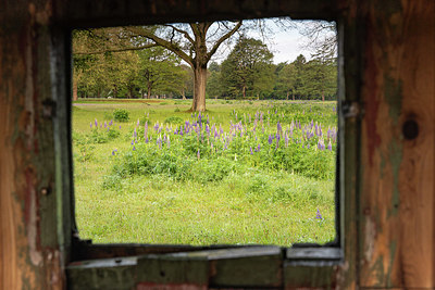 BUITEN BEELD Foto: 334186