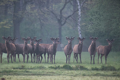 BUITEN BEELD Foto: 334216