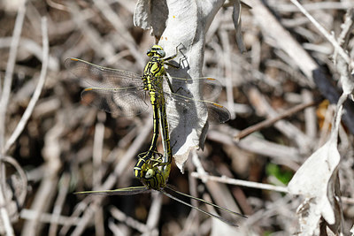 BUITEN BEELD Foto: 334249