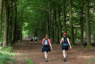 BUITEN BEELD Foto: 334259