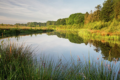 BUITEN BEELD Foto: 334271