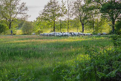 BUITEN BEELD Foto: 334280